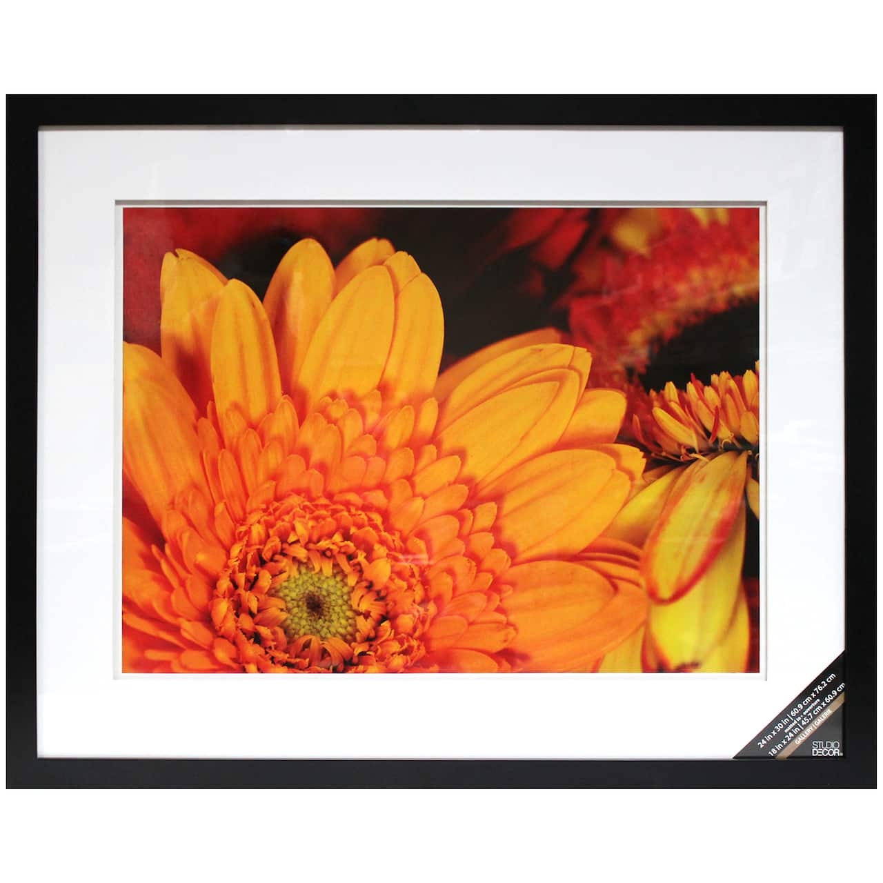 Black Gallery Wall Frame with Double Mat by Studio D&#xE9;cor&#xAE;